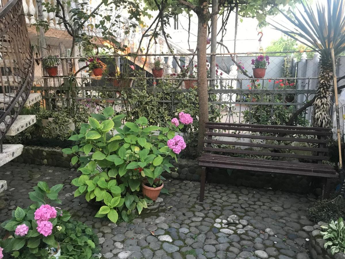 سوخومي Summer المظهر الخارجي الصورة